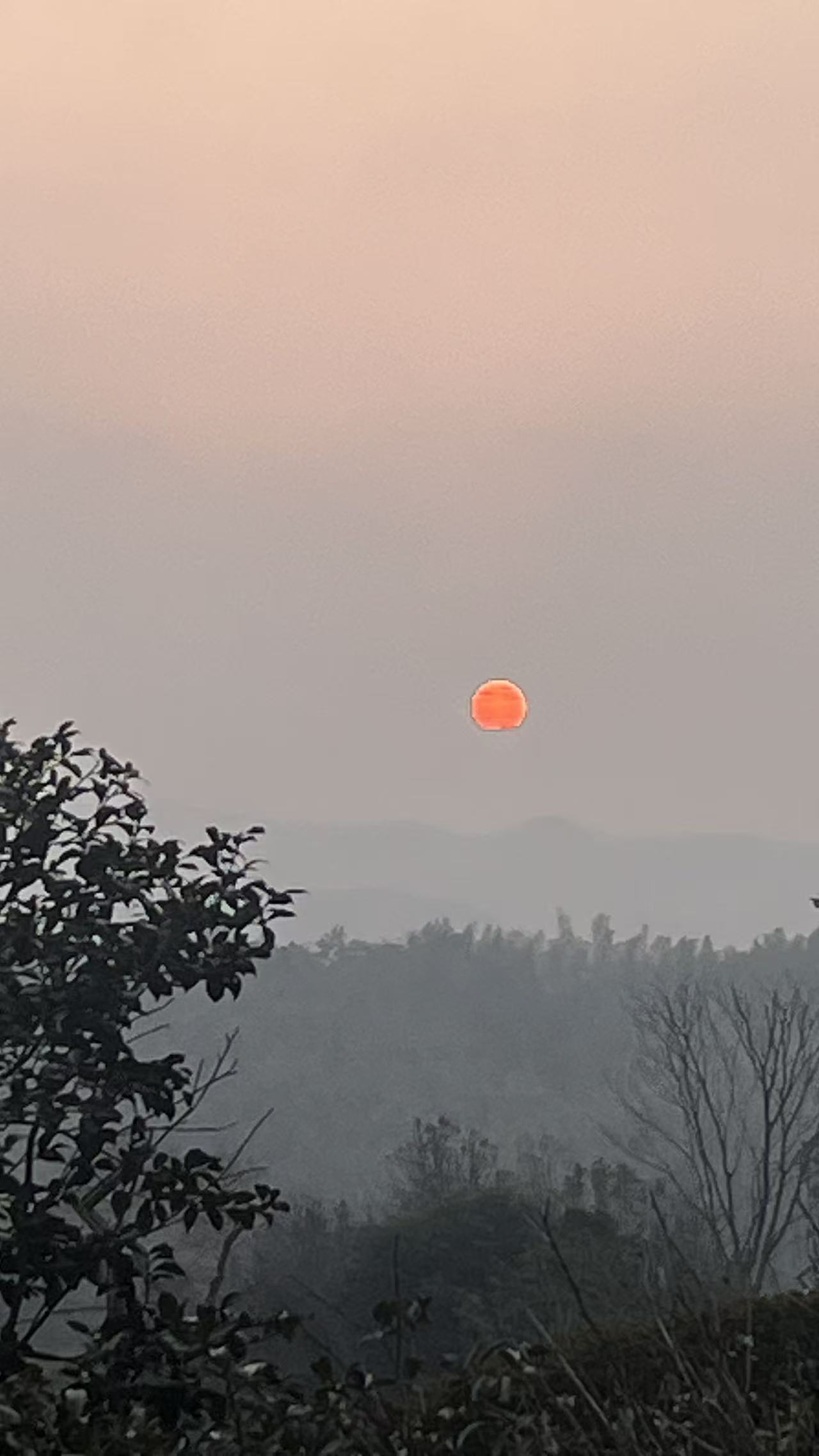山水有相逢：湖州台协广德行的暖意与回响