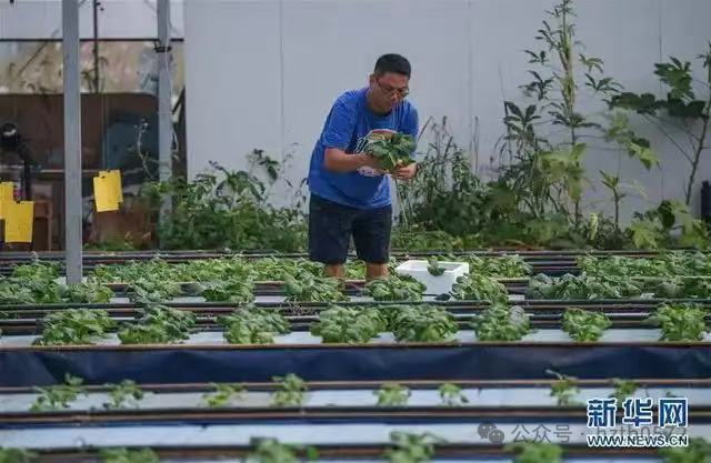 我和我的湖州丨讲述有力量的故事：“共享发展好机遇·创业创新在湖州”典型宣传活动（五）——从台湾小吃到湖州田园的跨界梦想家