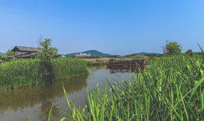春日踏青记：湖州德清下渚湖的自然乐章